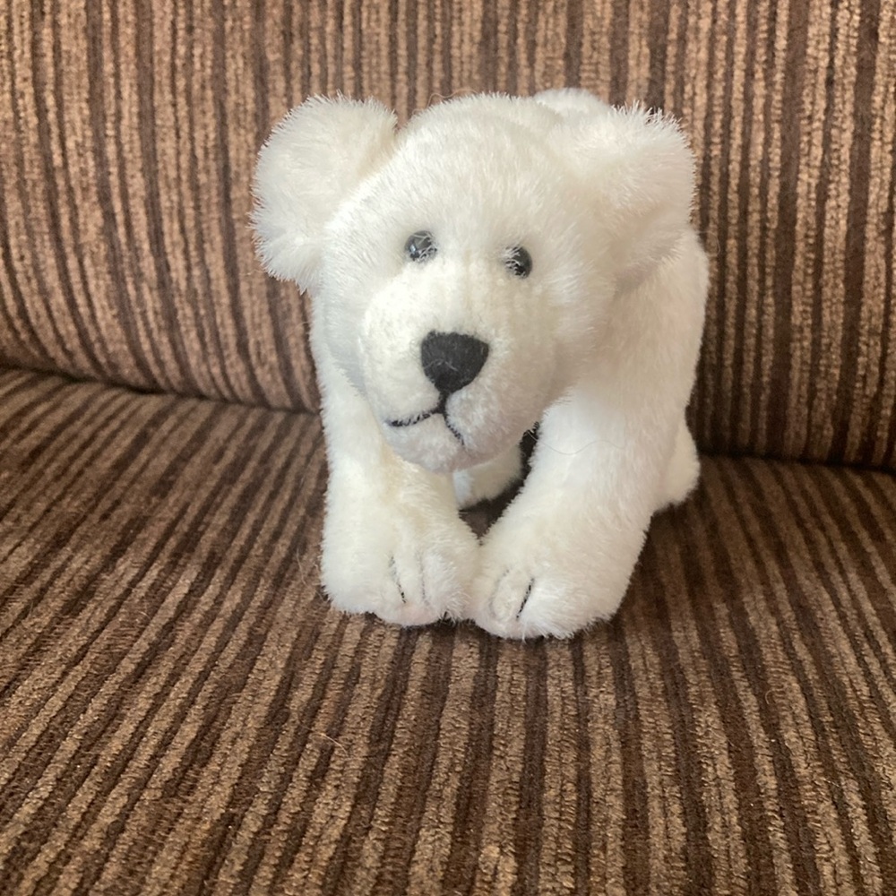 Boyd’s bears polar bear